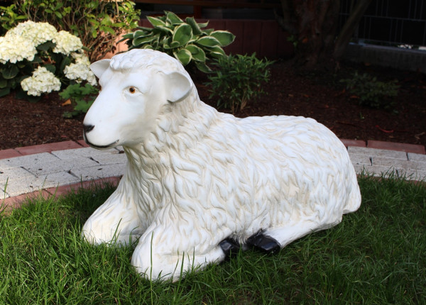 Dekorationsfigur Schaf lebensgroß liegend Kopf gerade haltend H 40 cm Gartenfigur aus Kunstharz