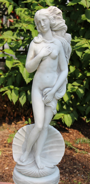 Beton Figur Skulptur Statue Venus von Botticelli in Muschel H 58 cm Dekofigur und Gartenskulptur