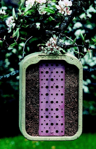 Naturschutzprodukt Insektennistwand mit Füllung aus Lehm und Schilf