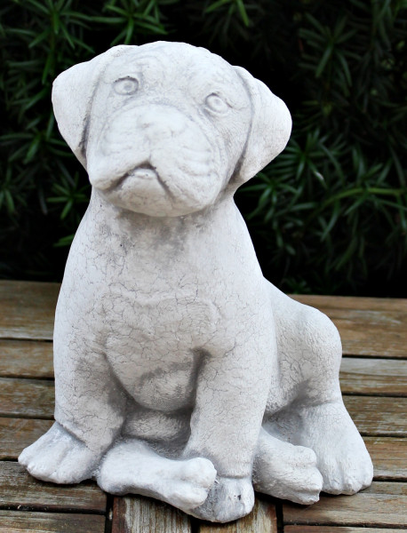 Beton Figur Boxer Welpe sitzend Hundefigur H 23 cm Dekofigur und Gartenfigur