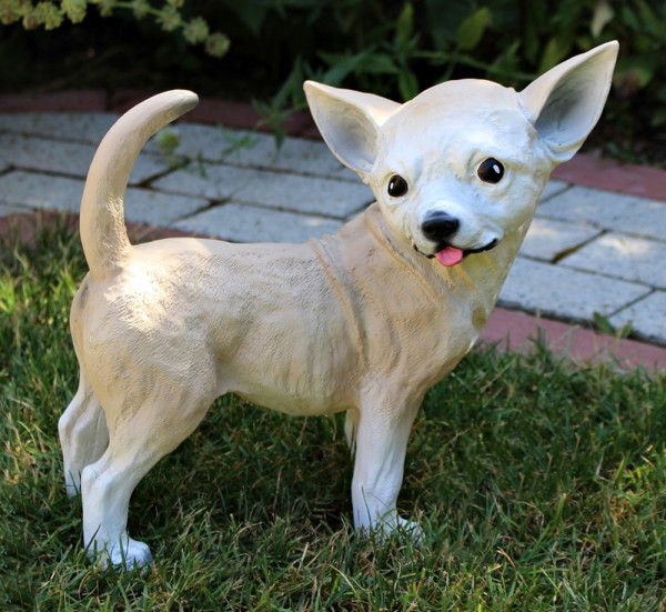 Dekorationsfigur Hund Chihuahua Höhe 29 cm Deko Figur aus Kunstharz
