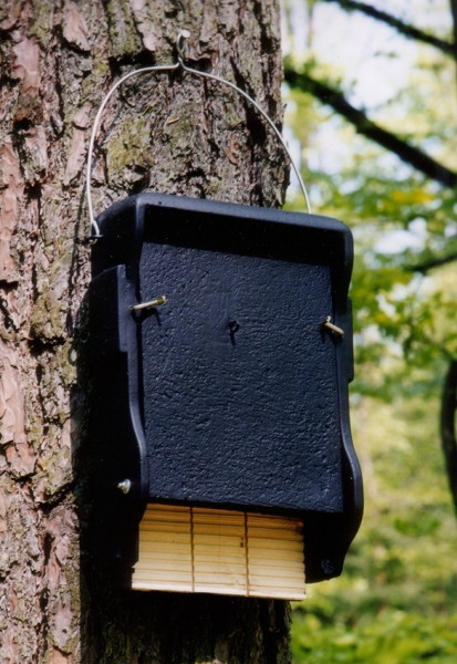 Naturschutzprodukt Fledermauskasten 1FF mit eingearbeiteter Holzrückwand