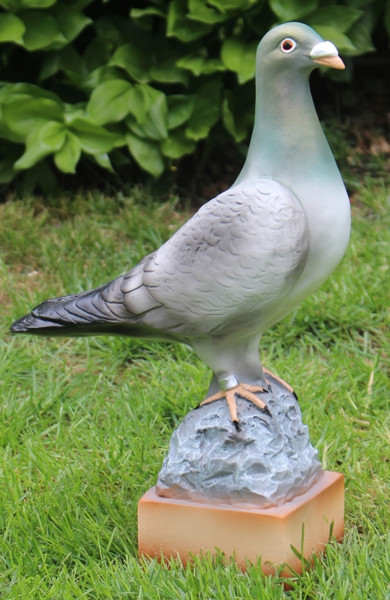 Deko Figur Taube stehend auf Sockel H 36 cm x L 25 cm Vogelfigur aus Kunstharz