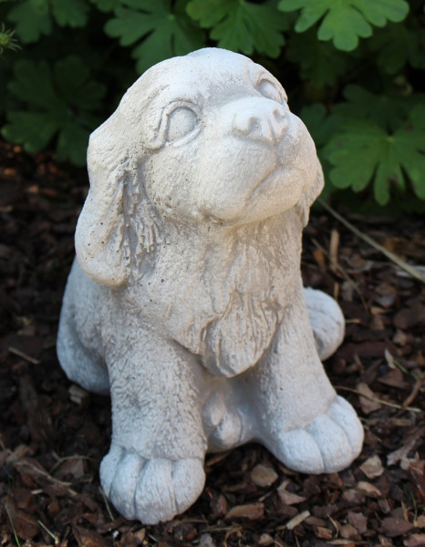 Beton Figur Hund Welpe sitzend H 18 cm Dekofigur klein Gartenfigur