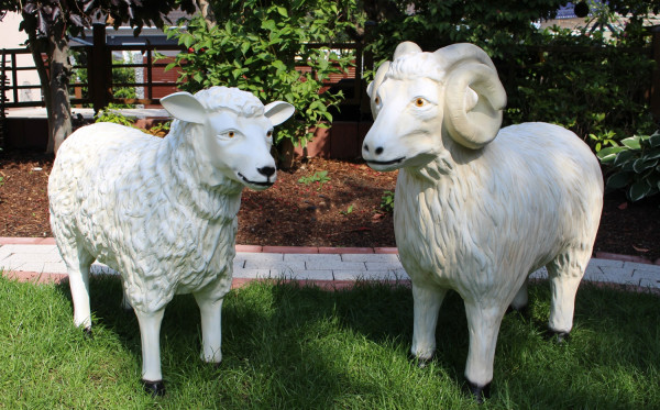 Dekorationsfiguren Schafbock und Schaf lebensgroß H 64/72 cm Gartenfiguren Gartendeko aus Kunstharz