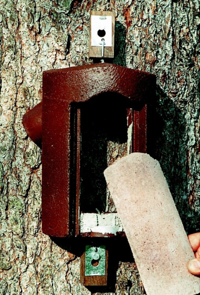 Naturschutzprodukt Baumläuferhöhle Typ 2B räubersicher Artenschutz Produkt