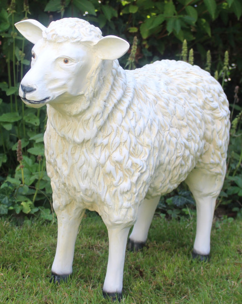 Dekorationsfigur Schaf lebensgroß stehend Kopf gerade haltend H 64 cm Gartenfigur aus Kunstharz