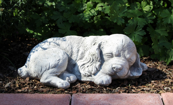 Beton Figur Hund Cocker Spaniel Welpe H 10 cm Hundefigur liegend und schlafend Gartenfigur