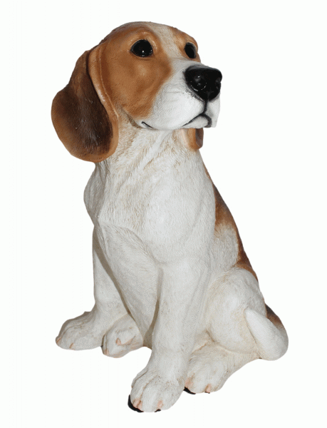 Deko Figur Hund britischer Beagle Adult Hundefigur sitzend Kollektion Castagna aus Resin H 31 cm