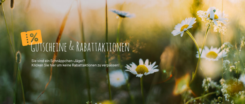 JS GartenDeko Gartenartikel und Dekoartikel für Garten und Zuhause seit