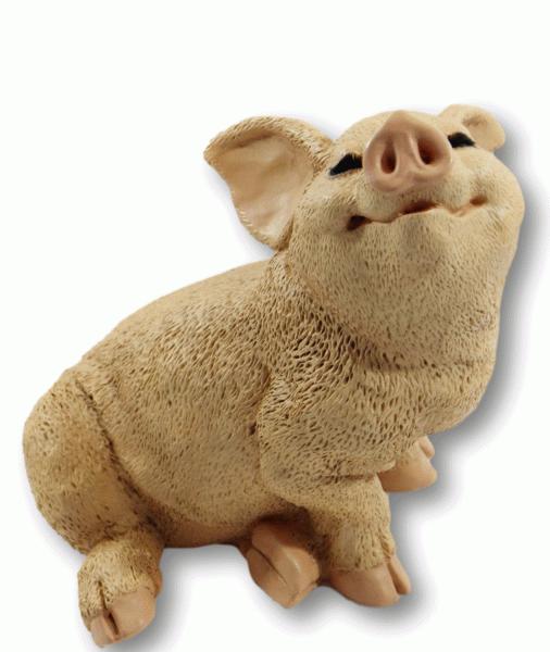 Dekofigur Tierfigur Schwein Ferkel Schweinchen sitzend natur Kollektion Castagna aus Resin H 19 cm